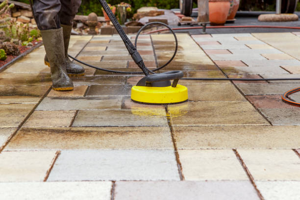 Professional Pressure Washing Services in Beacon Hill, WA