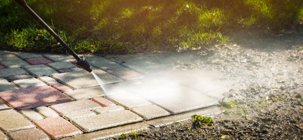 Best Sidewalk and Walkway Cleaning  in Beacon Hill, WA